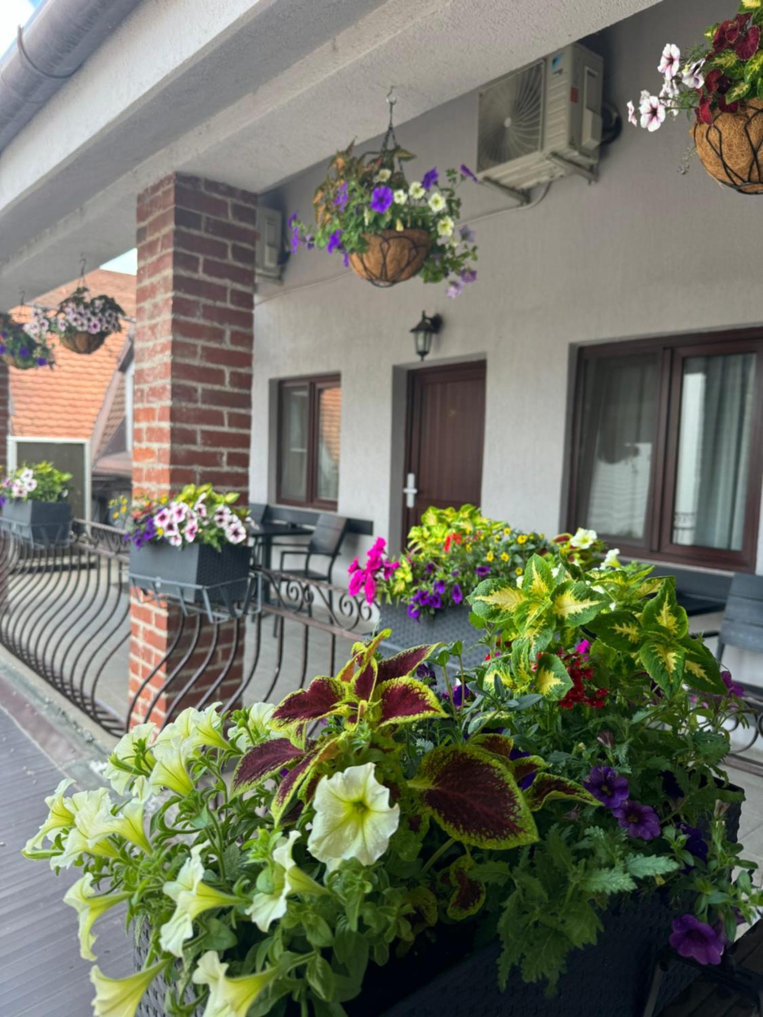 Casa Mignon Hotel Oradea Ngoại thất bức ảnh