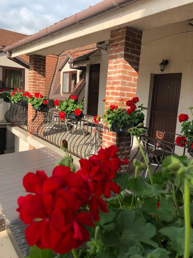 Casa Mignon Hotel Oradea Ngoại thất bức ảnh