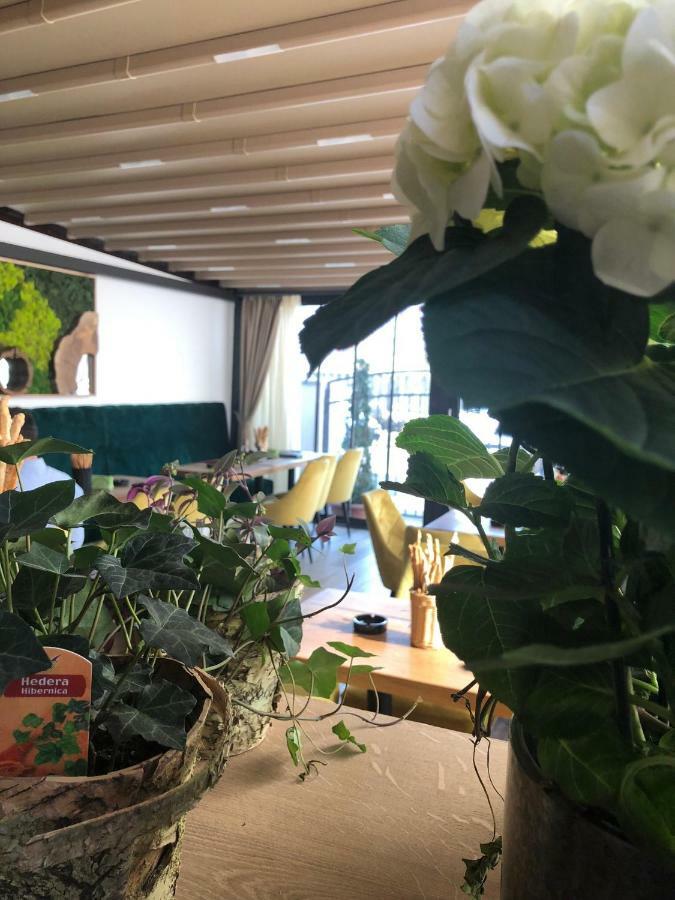 Casa Mignon Hotel Oradea Ngoại thất bức ảnh
